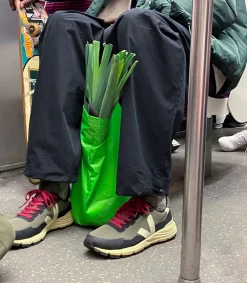 Damen VEJA DEKKAN RIPSTOP KAKI PIERRE